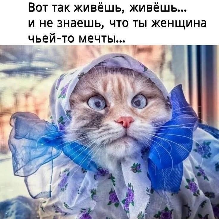 Вот так живёшь, живёшь... и не знаешь, что ты женщина чьей-то мечты...