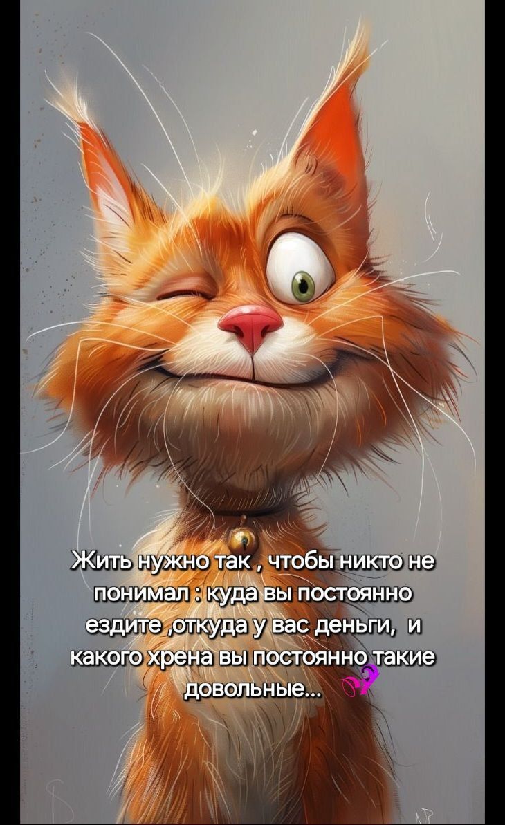 Жить нужно так, чтобы никто не понимал: куда вы постоянно ездите, откуда у вас деньги, и какого хрена вы постоянно такие довольные...