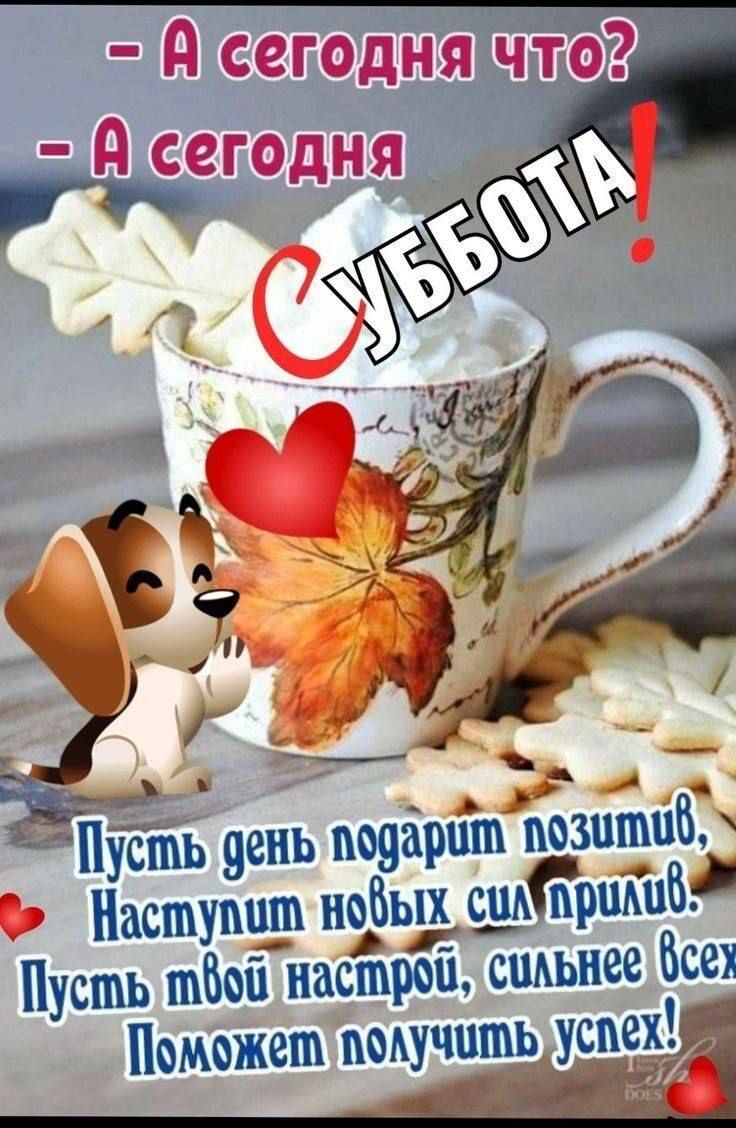 - А сегодня что?
- А сегодня СУББОТА!

Пусть день подарит позитив, Наступит новых сил прилив. Пусть твой настрой, сильнее всех Поможет получить успех!