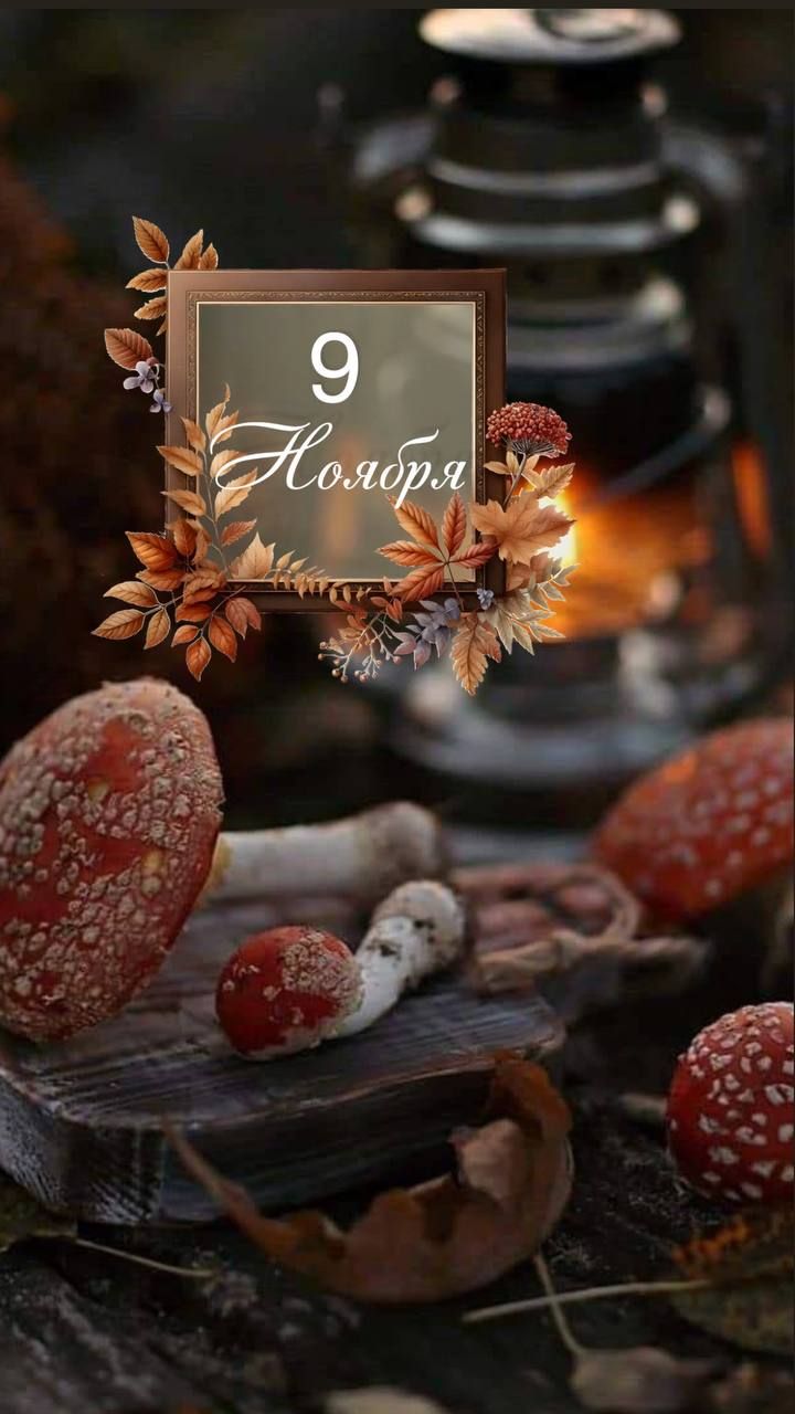 9 Ноября