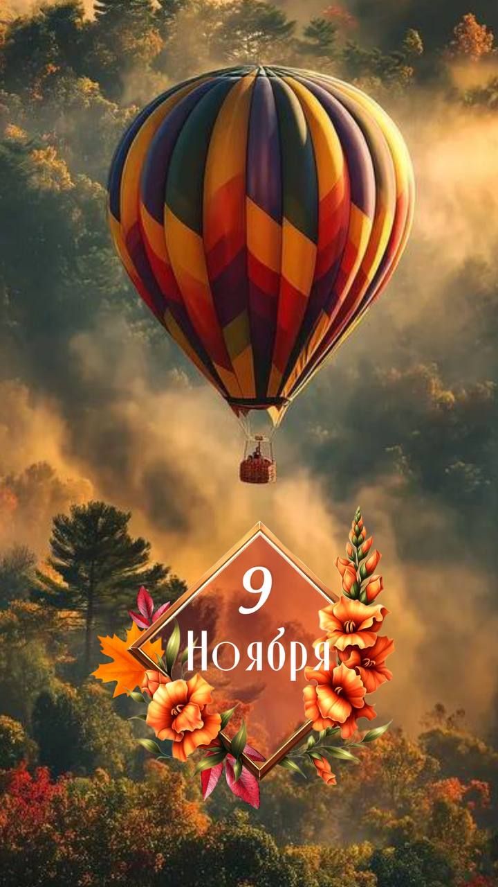 9 Ноября