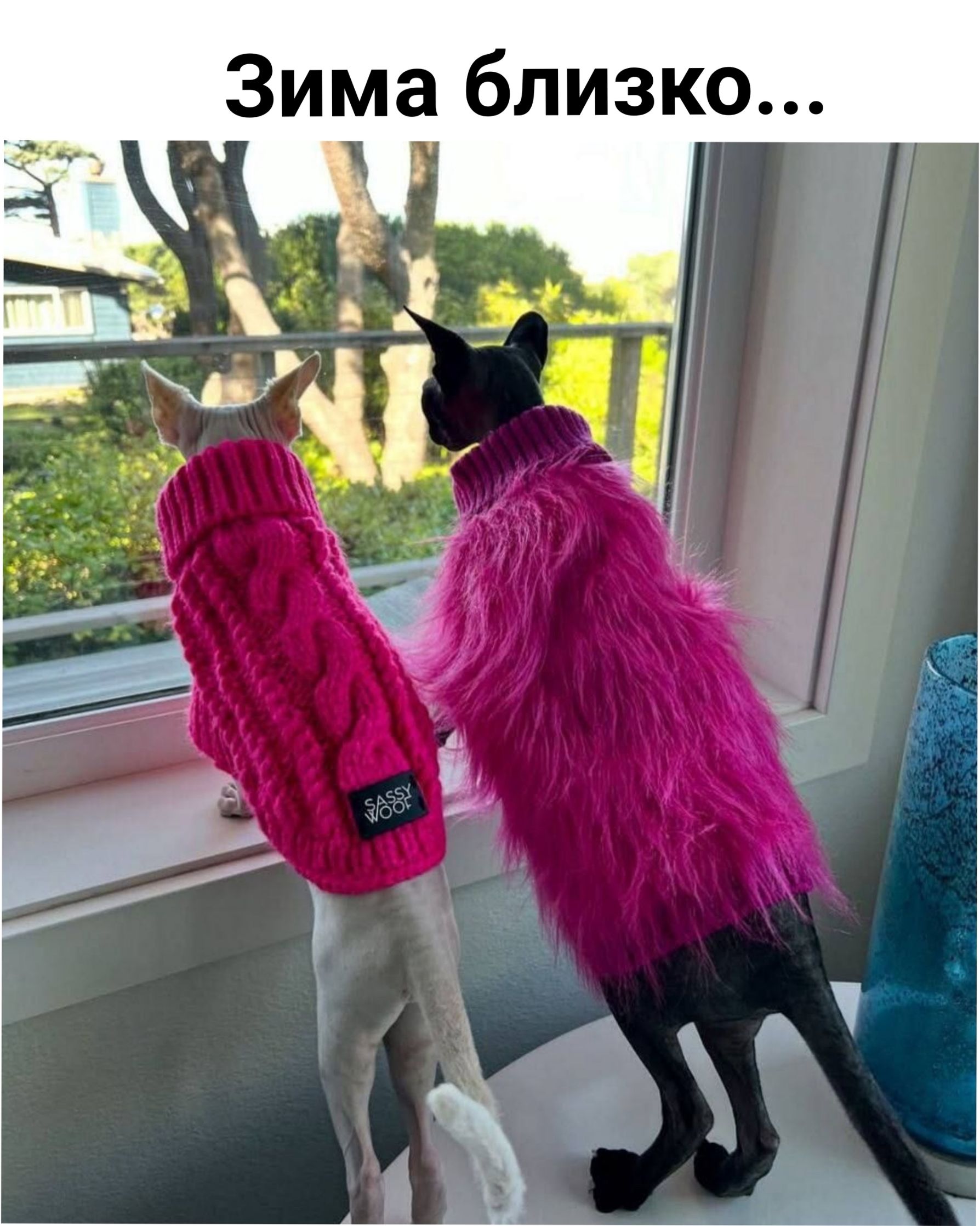 Зима близко...