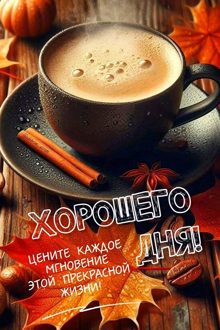 ХОРОШЕГО ДНЯ! ЦЕНИТЕ КАЖДОЕ МГНОВЕНИЕ ЭТОЙ ПРЕКРАСНОЙ ЖИЗНИ!