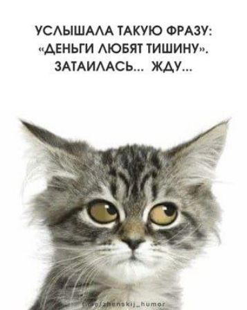 УСЛЫШАЛА ТАКУЮ ФРАЗУ: «ДЕНЬГИ ЛЮБЯТ ТИШИНУ», ЗАТАЙЛАСЬ... ЖДУ...
