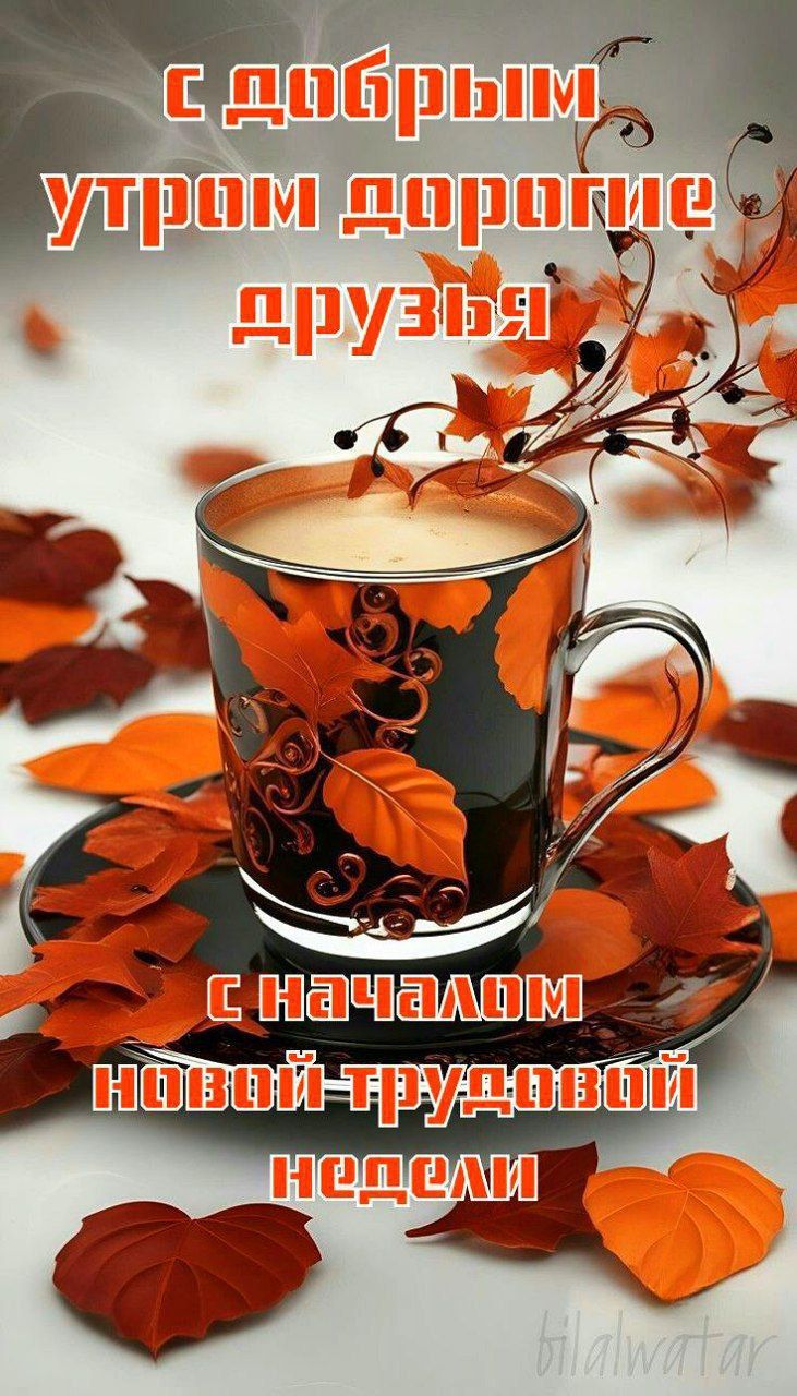 С добрым утром дорогие друзья
С началом новой трудовой недели