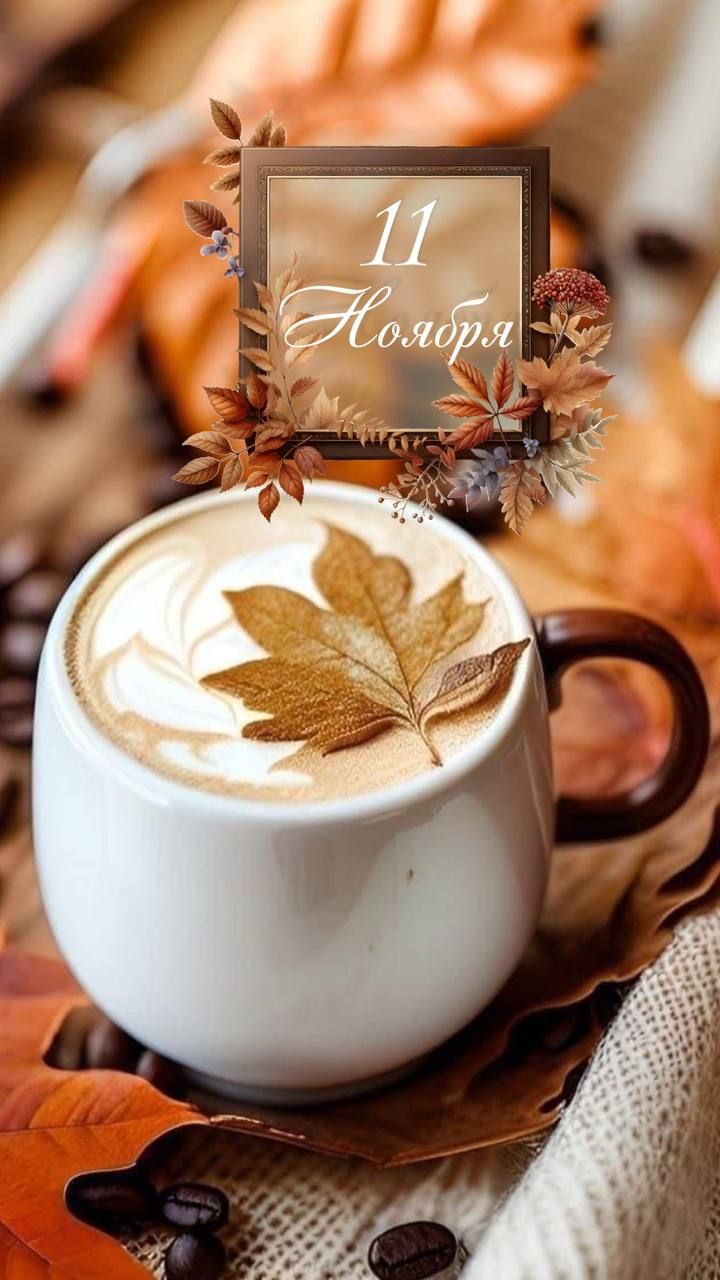 11 Ноября