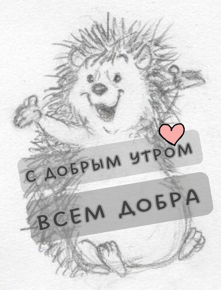 С ДОБРЫМ УТРОМ ВСЕМ ДОБРА