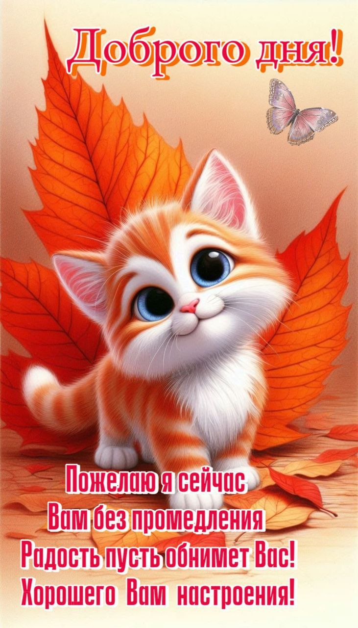 Доброго дня! Пожелаю я сейчас Вам без промедления Радость пусть обнимет Вас! Хорошего Вам настроения!