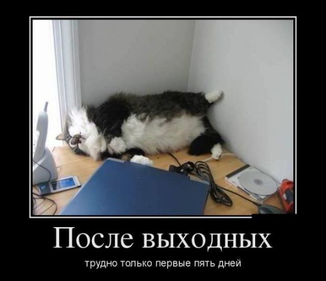 После выходных\nтрудно только первые пять дней