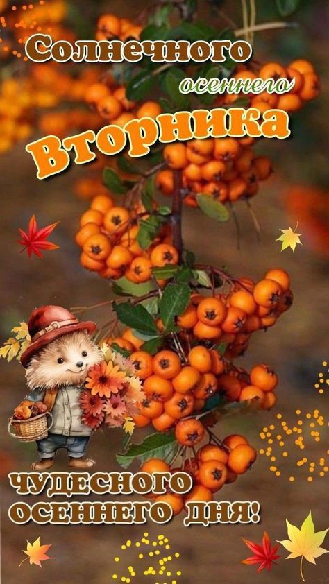 Солнечного осеннего Вторника
Чудесного осеннего дня!