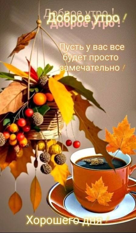 Доброе утро! Пусть у вас всё будет просто замечательно! Хорошего дня