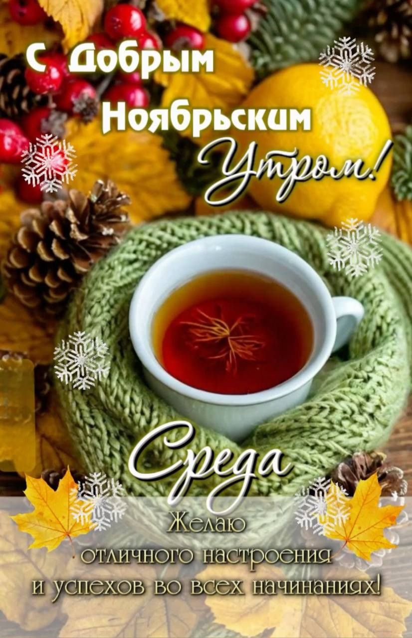 С добрым Ноябрьским Утром! Среда. Желаю отличного настроения и успехов во всех начинаниях!