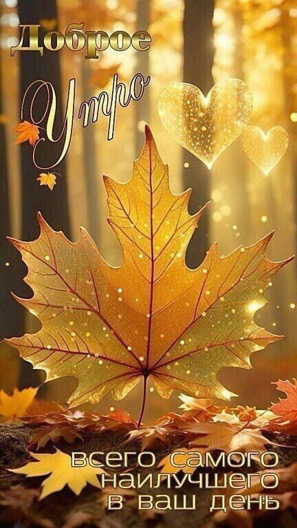 Доброе утро\nвсего самого наилучшего в ваш день