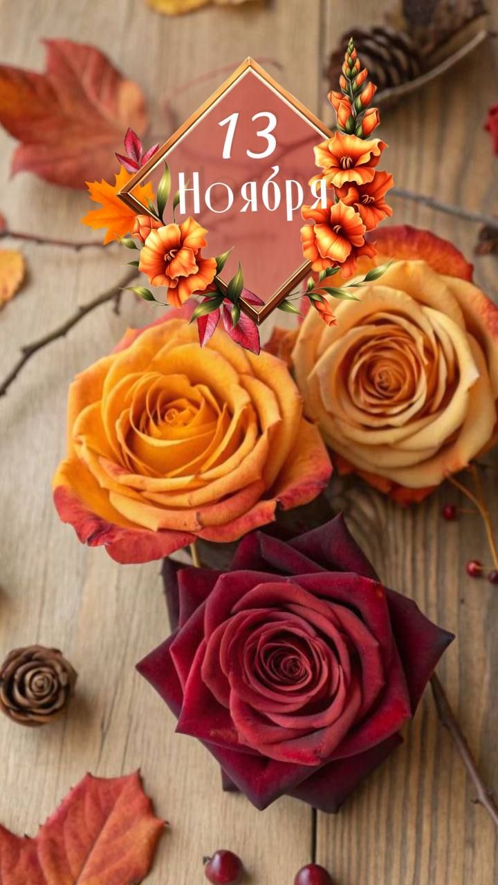 13 Ноября