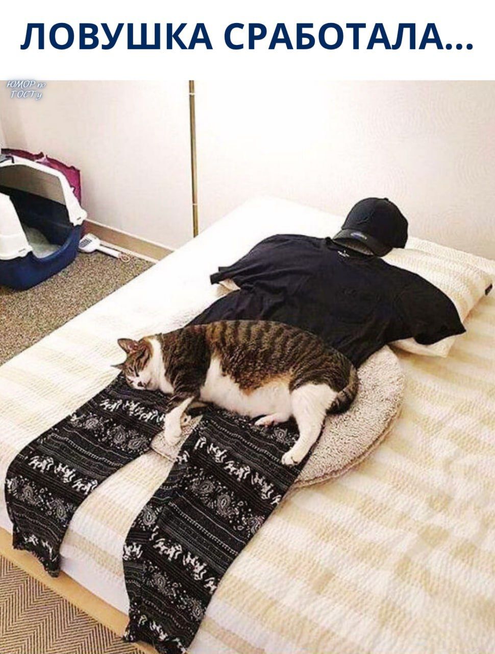 ЛОВУШКА СРАБОТАЛА...