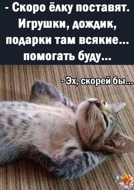 - Скоро ёлку поставят. Игрушки, дожик, подарки там всякие... помогать буду...
- Эх, скорее бы...