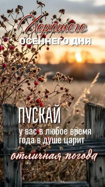 Хорошего осеннего дня ПУСКАЙ У ВАС В ЛЮБОЕ ВРЕМЯ ГОДА В ДУШЕ ЦАРИТ ОТЛИЧНАЯ ПОГОДА