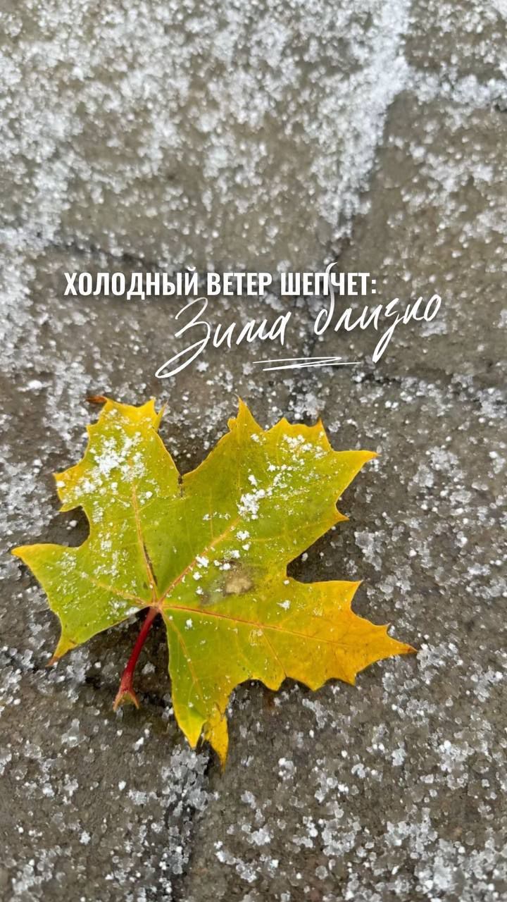 Холодный ветер шепчет: Зима близко