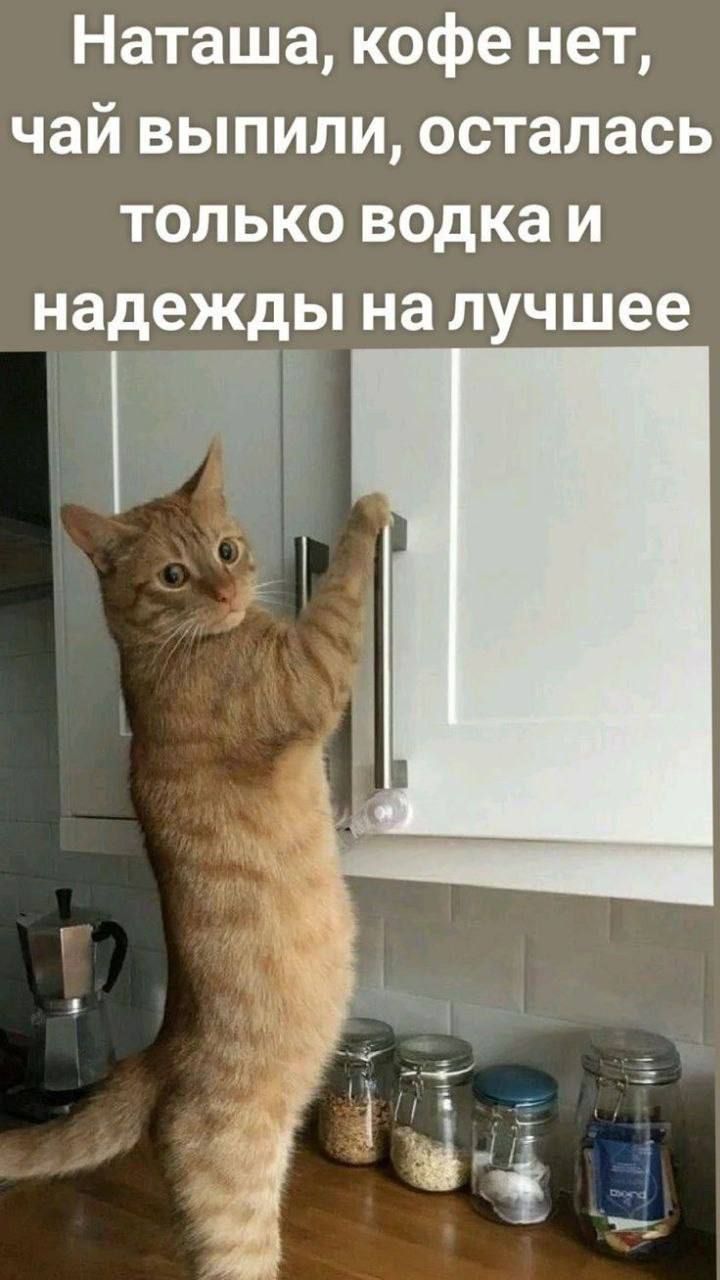 Наташа, кофе нет, чай выпили, осталась только водка и надежды на лучшее