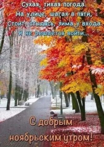 Сухая, тихая погода. На улице шагax в пять, стоит, стыдясь, зима у входа и не решается войти... С добрым ноябрьским утром!