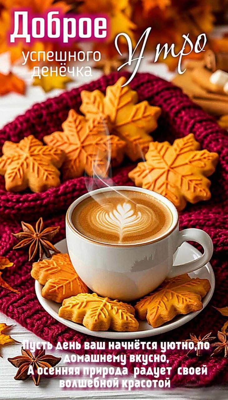 Доброе утро
успешного денечка
пусть день ваш начнётся уютно, по домашнему вкусно, а осенняя природа радует своей волшебной красотой