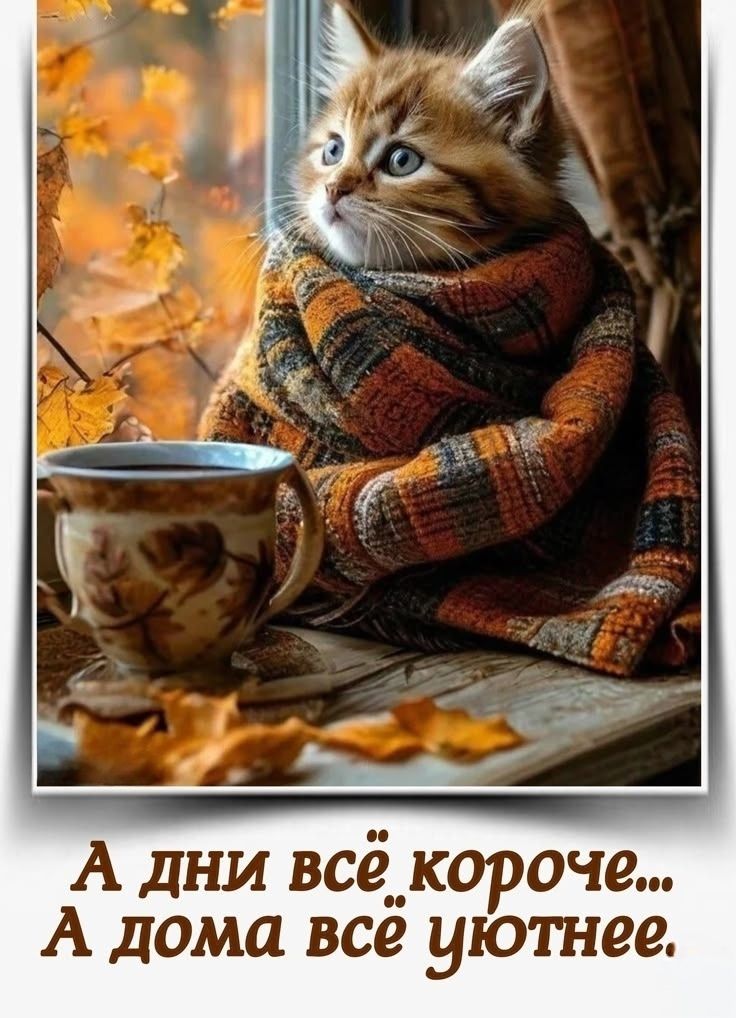 А дни всё короче... А дома всё уютнее.