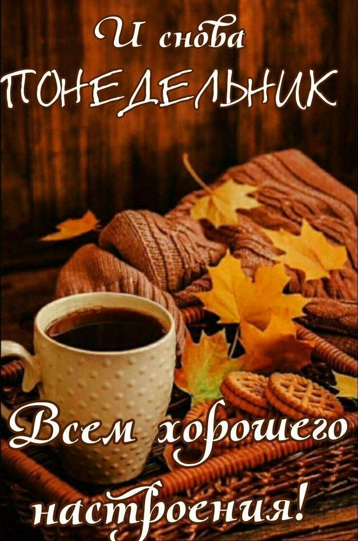 И снова ПОНЕДЕЛЬНИК Всем хорошего настроения!