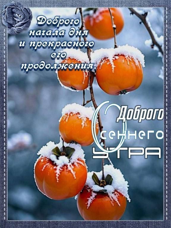 Доброе начало дня и прекрасного его продолжения. Доброе утро.