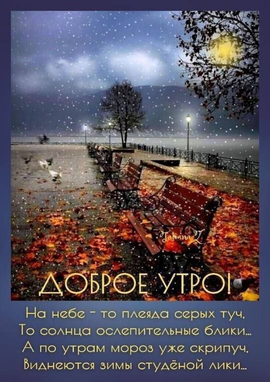 Доброе утро! На небе — то плеяда серых туч. То солнца ослепительные блики... А по утрам мороз уже скрипку, Виднеются зимы студённой лики...