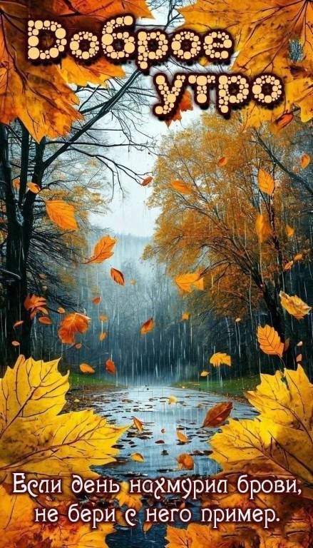 Доброе утро
Если день нахмурил брови, не бери с него пример.