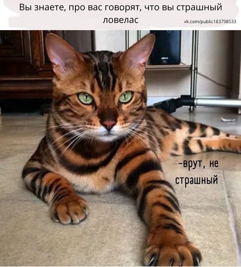 Вы знаете, про вас говорят, что вы страшный ловелас
-врют, не страшный