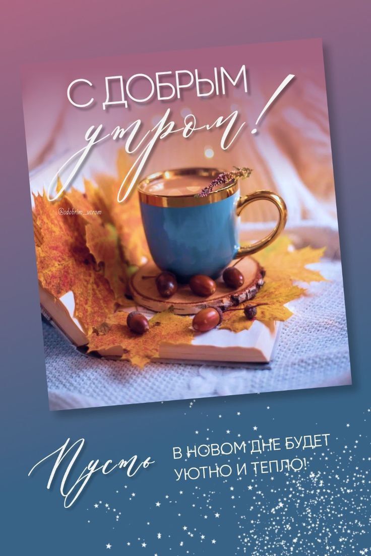 С ДОБРЫМ утром! Пусть в новом дне будет уютно и тепло!