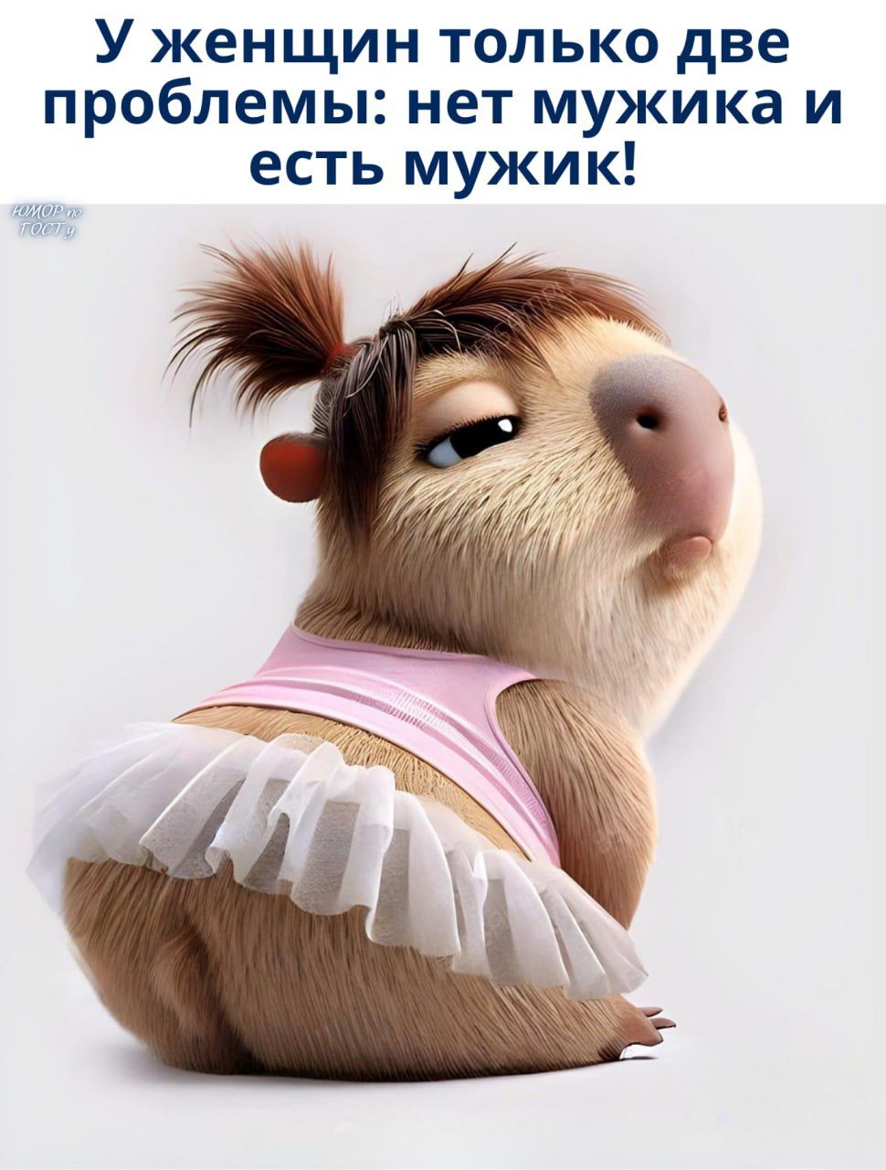 У женщин только две проблемы: нет мужика и есть мужик!