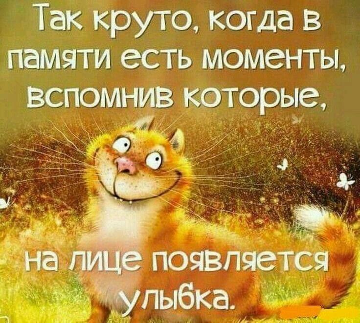 Так круто, когда в памяти есть моменты, вспомин которые, на лице появляется улыбка.