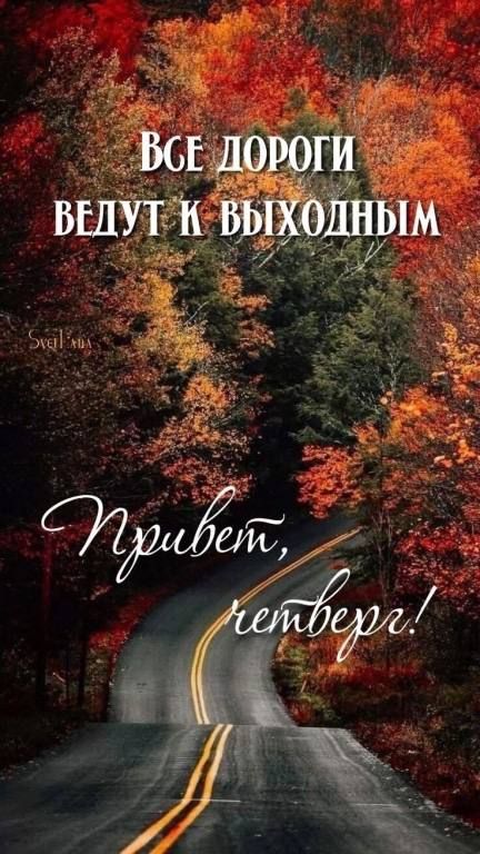 Все дороги ведут к выходным. Привет, четверг!