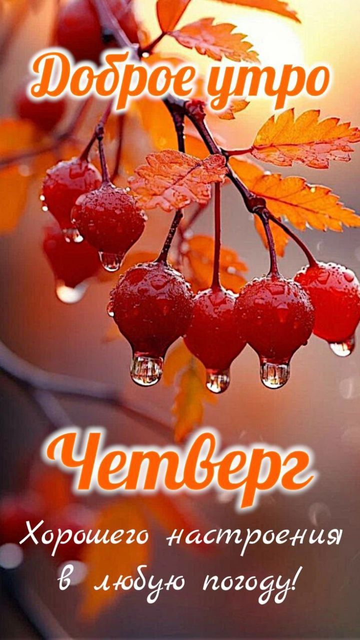 С добрым утром ЧЕТВЕРГА! Приятного начала дня!