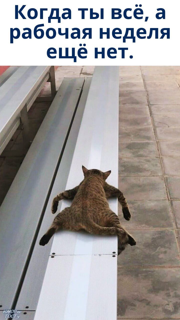 Когда ты всё, а рабочая неделя ещё нет.