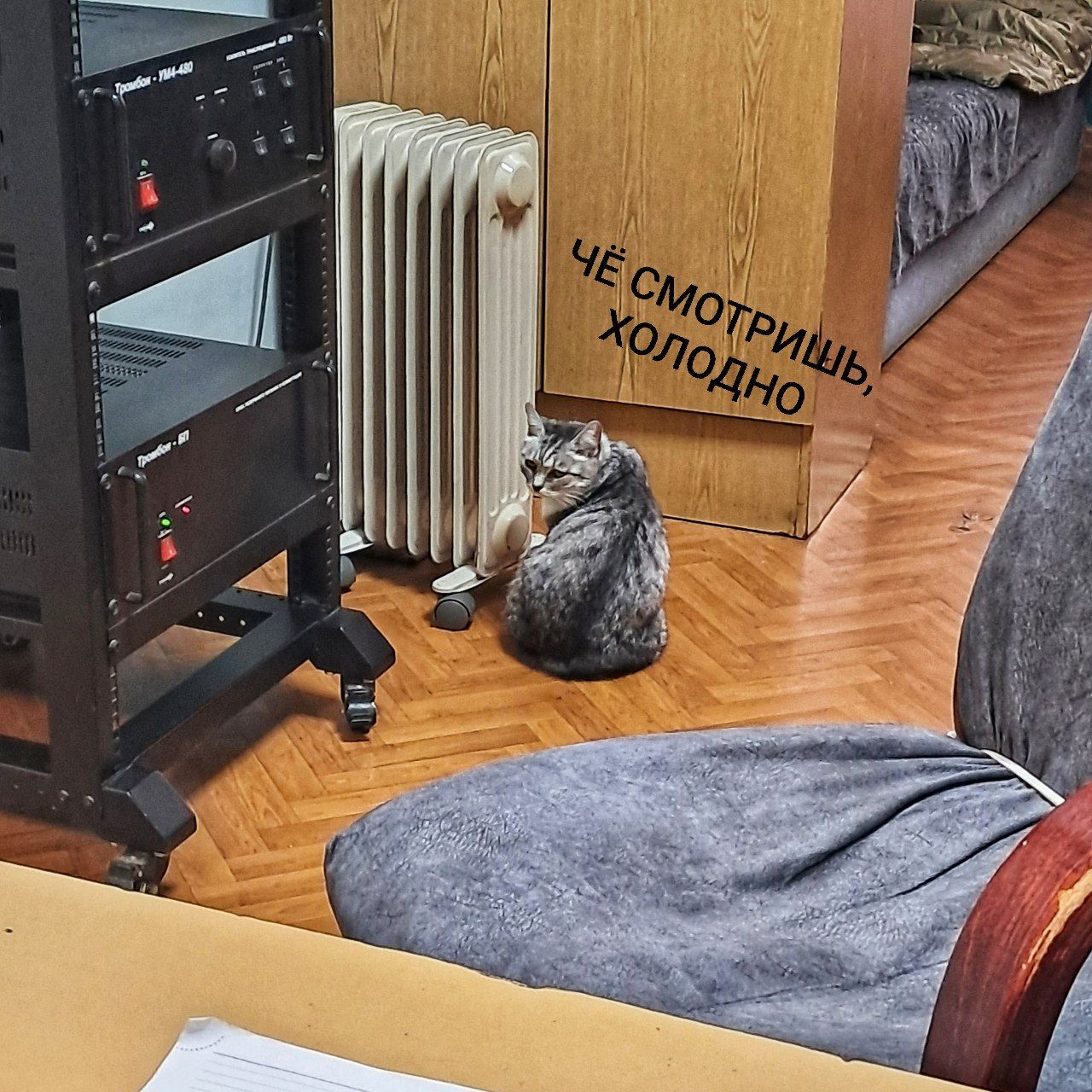 ЧЁ СМОТРИШЬ, ХОЛОДНО.