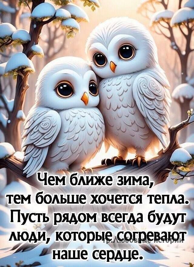 Чем ближе зима, тем больше хочется тепла. Пусть рядом всегда будут люди, которые согревают наше сердце.