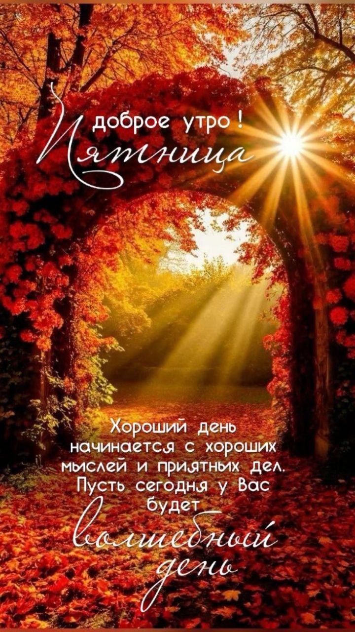 И доброе утро! Пятница\nХороший день начинается с хороших мыслей и приятных дел. Пусть сегодня у Вас будет волшебный день