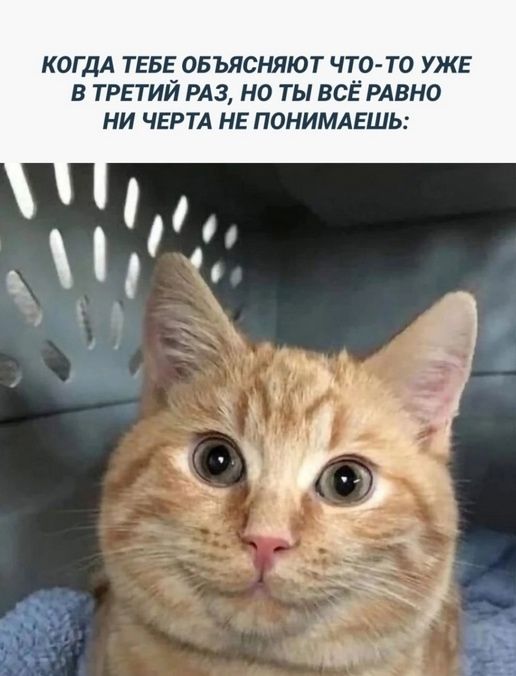 КОГДА ТЕБЕ ОБЪЯСНЯЮТ ЧТО-ТО УЖЕ В ТРЕТИЙ РАЗ, НО ТЫ ВСЁ РАВНО НИЧЕГО НЕ ПОНИМАЕШЬ: