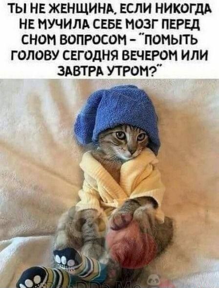 ТЫ НЕ ЖЕНЩИНА, ЕСЛИ НИКОГДА НЕ МУЧИЛА СЕБЕ МОЗГ ПЕРЕД СНОМ ВОПРОСОМ – 