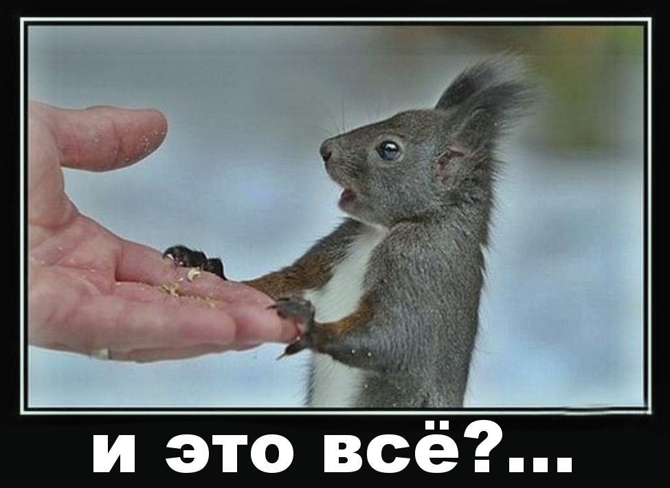 и это всё?...