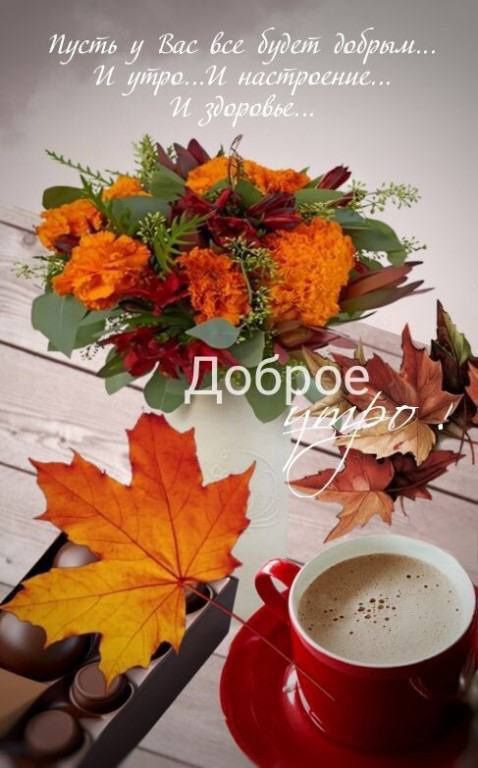 Пусть у Вас все будет добрым... И утро...И настроении... И здоровье... Доброе утро