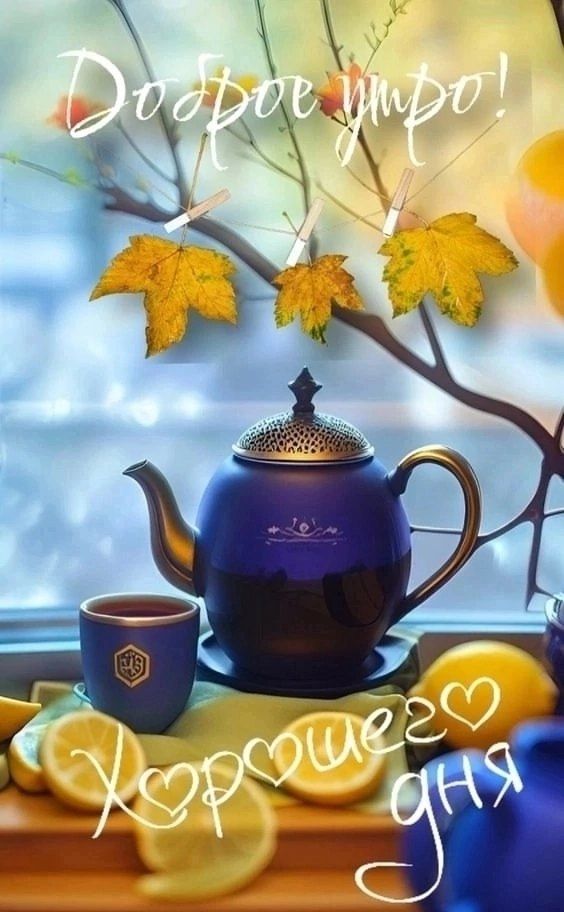 Доброе утро! Хорошего дня