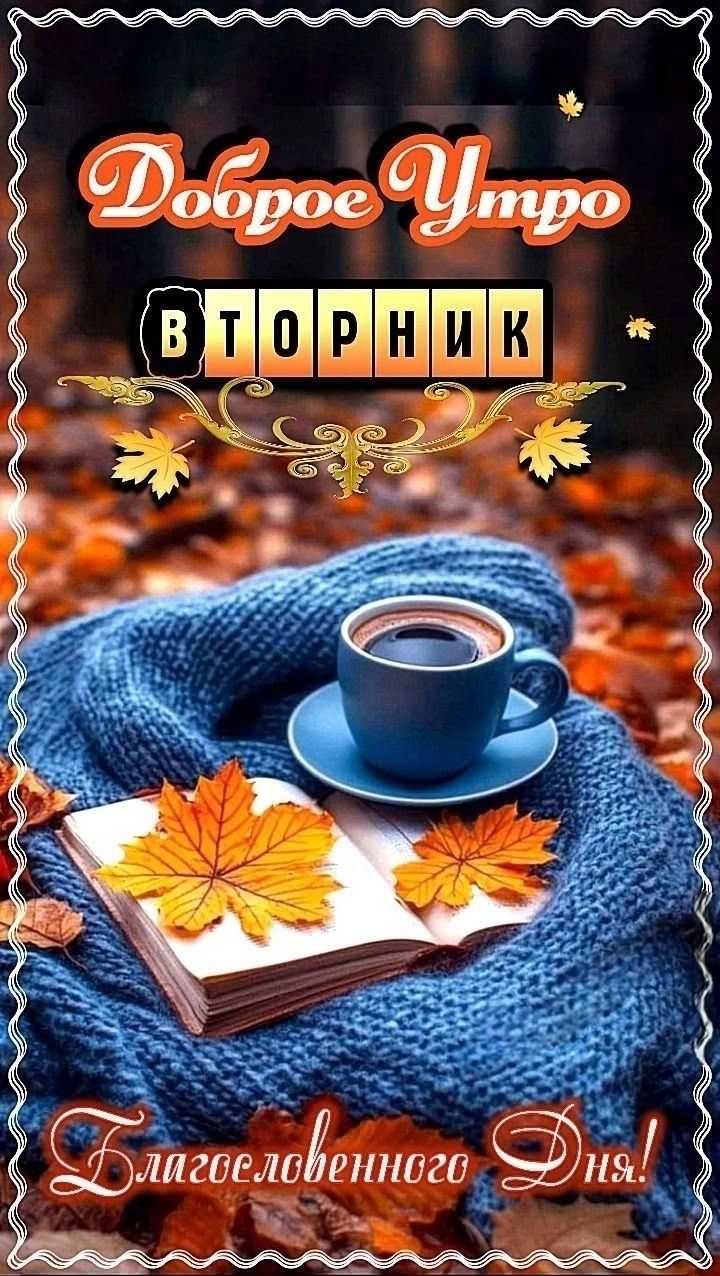 Доброе утро ВТОРНИК Благословенного дня!