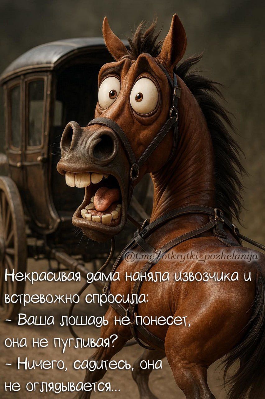 Некрасивая дама наняла извозчика и спросила: «Ваша лошадь не понесет?». Ответ был: «Ничего, садитесь, она не оглядывается…»