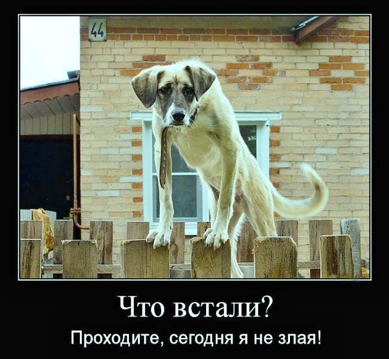 Что встали? Проходите, сегодня я не злая!