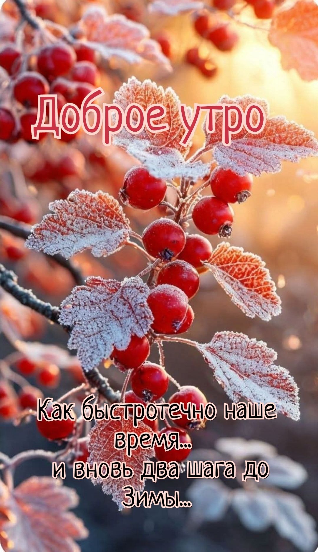 Доброе утро
Как быстротечно наше время... и вновь два шага до Зимы...