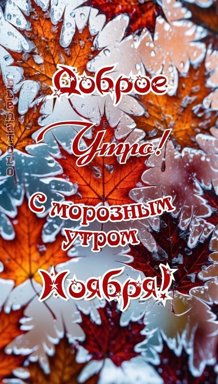Доброе утро! С морозным утром Майя!